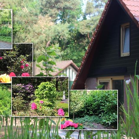 Vakantiepark Zevenbergen Heesch Exteriör bild
